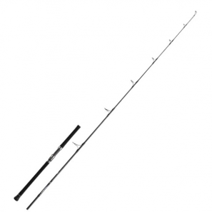 DAIWA 25 SALTIGA CASTING