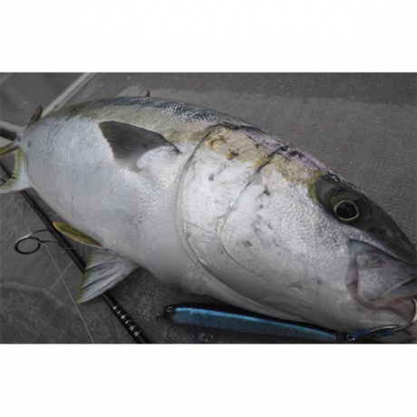 Без имени-11.jpg